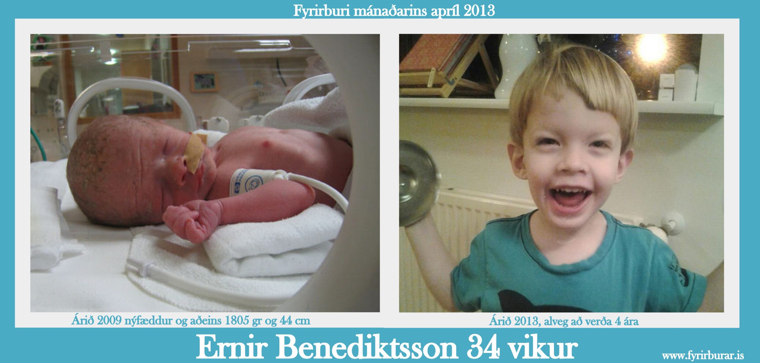Ernir fyrirburi mánaðarins apríl 2013